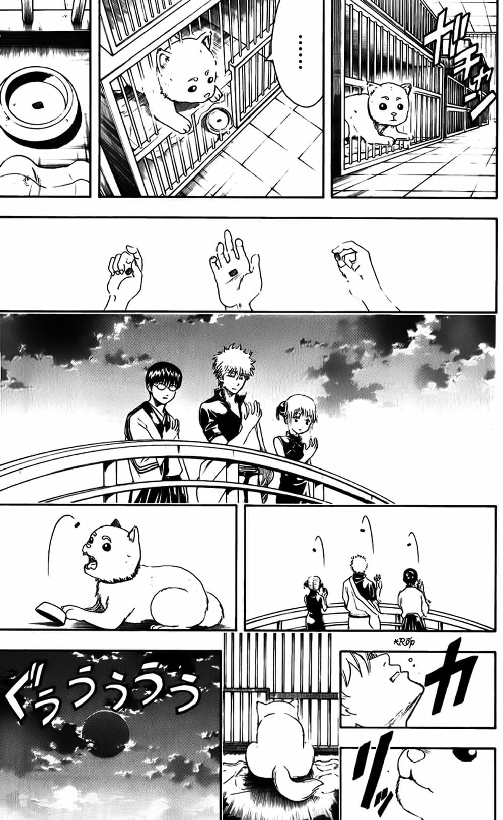 Truyện Tranh Gintama Linh Hồn Bạc: Luật Lệ Đặt Ra Là Để Phá Bỏ trang 7