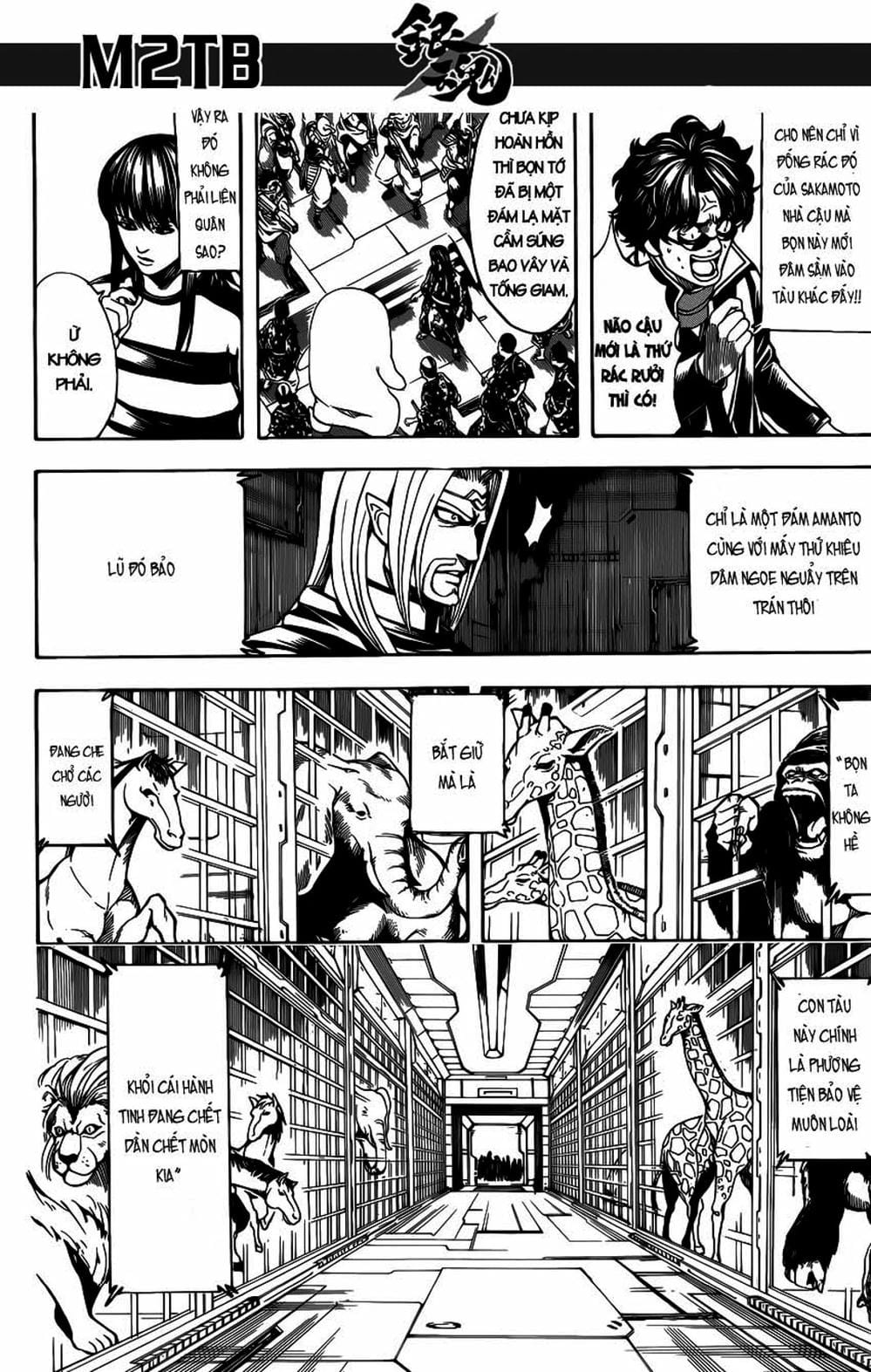 Truyện Tranh Gintama Linh Hồn Bạc: Luật Lệ Đặt Ra Là Để Phá Bỏ trang 7