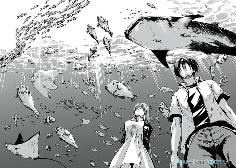 Truyện Tranh Cô Gái Thích Lặn - Grand Blue trang 3