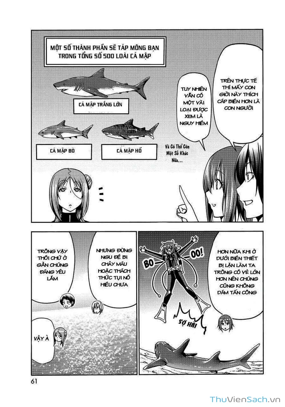 Truyện Tranh Cô Gái Thích Lặn - Grand Blue trang 3