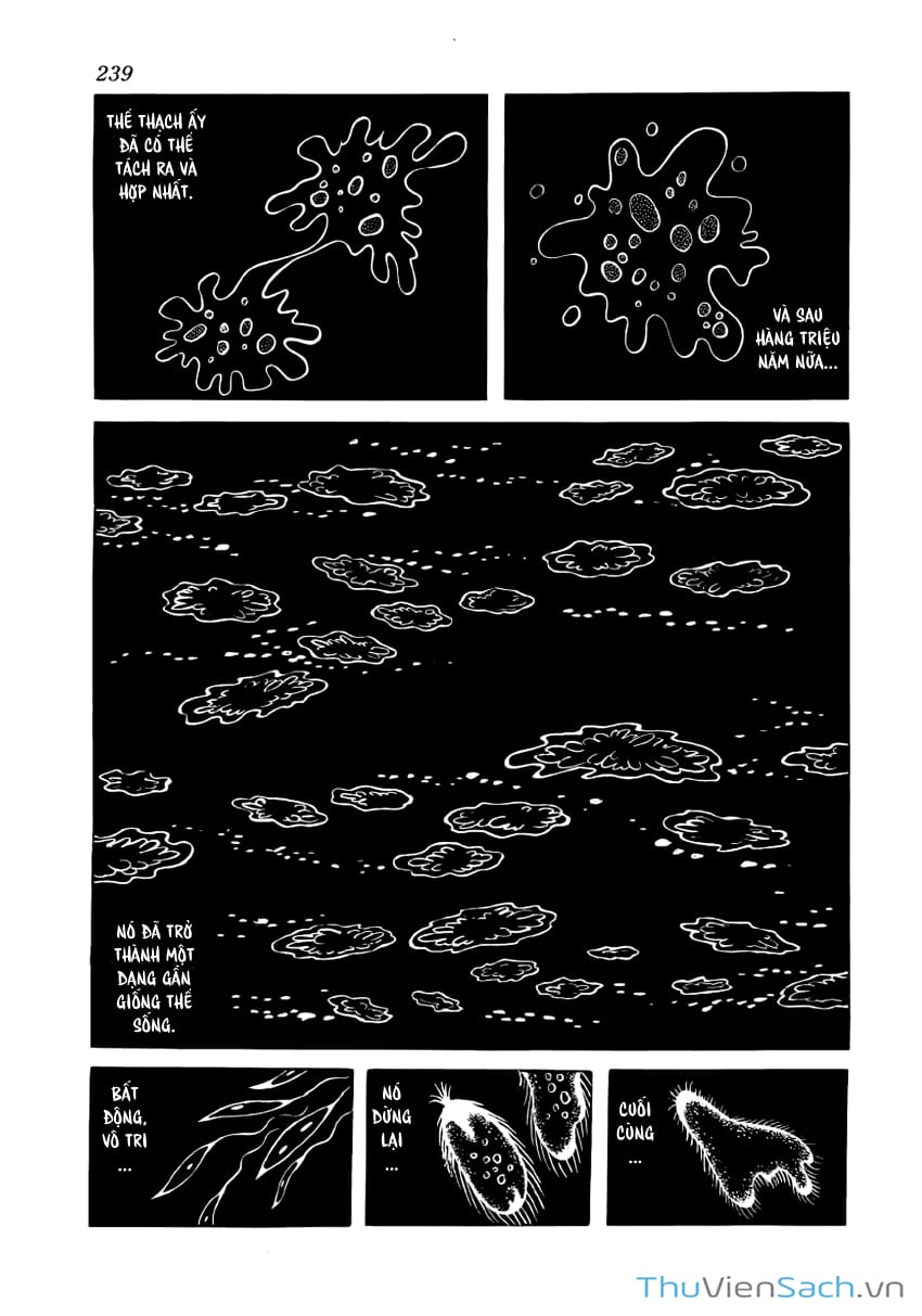 Truyện Tranh Phượng Hoàng - Phoenix trang 7