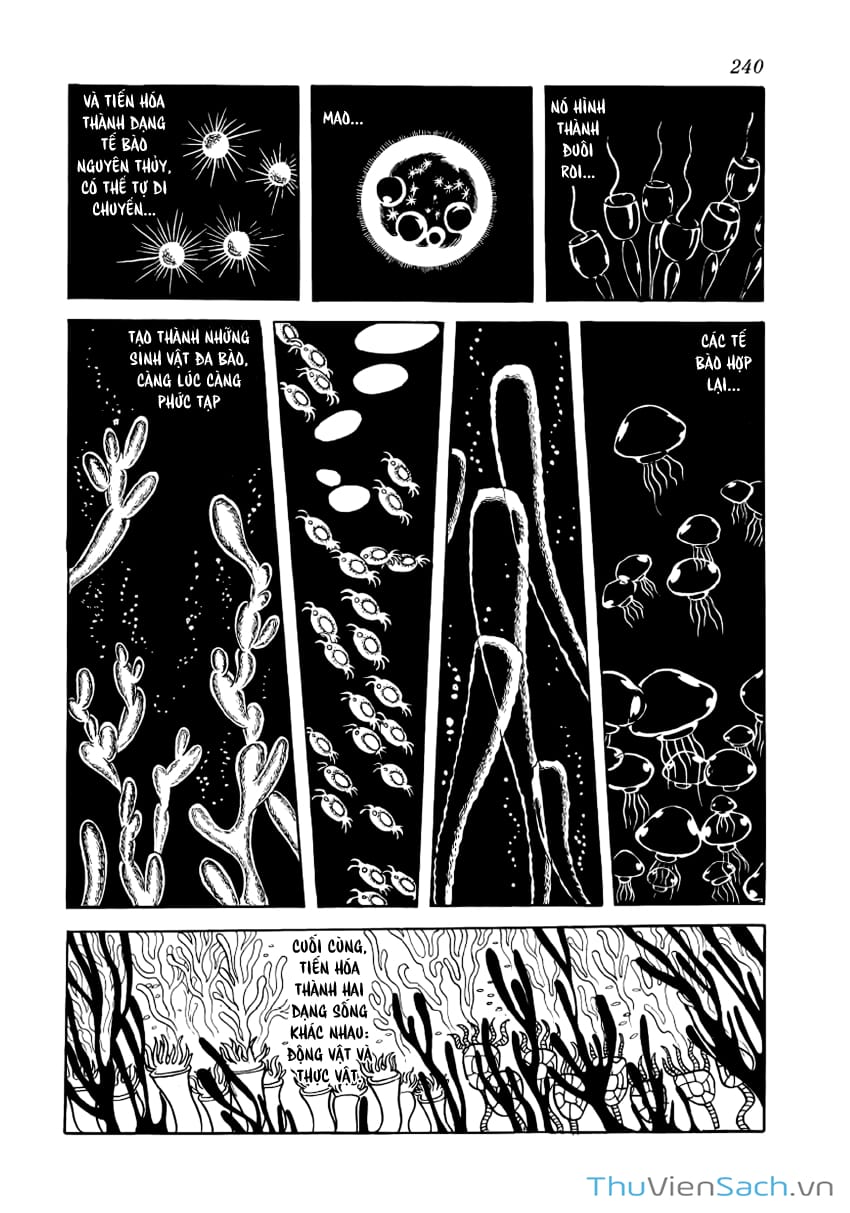 Truyện Tranh Phượng Hoàng - Phoenix trang 7