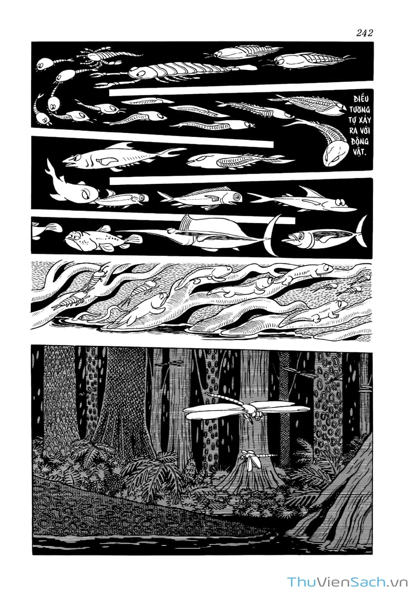 Truyện Tranh Phượng Hoàng - Phoenix trang 7