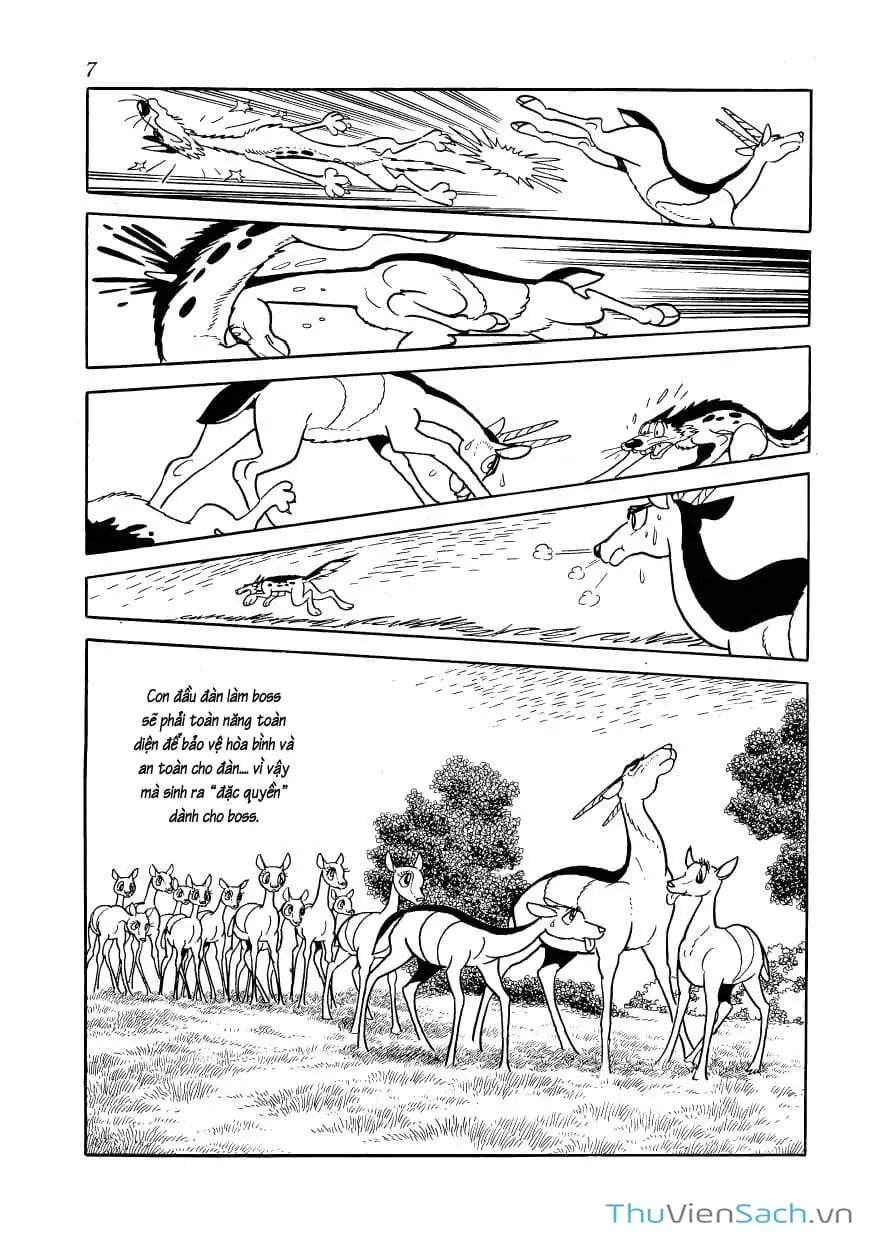 Truyện Tranh Phượng Hoàng - Phoenix trang 7