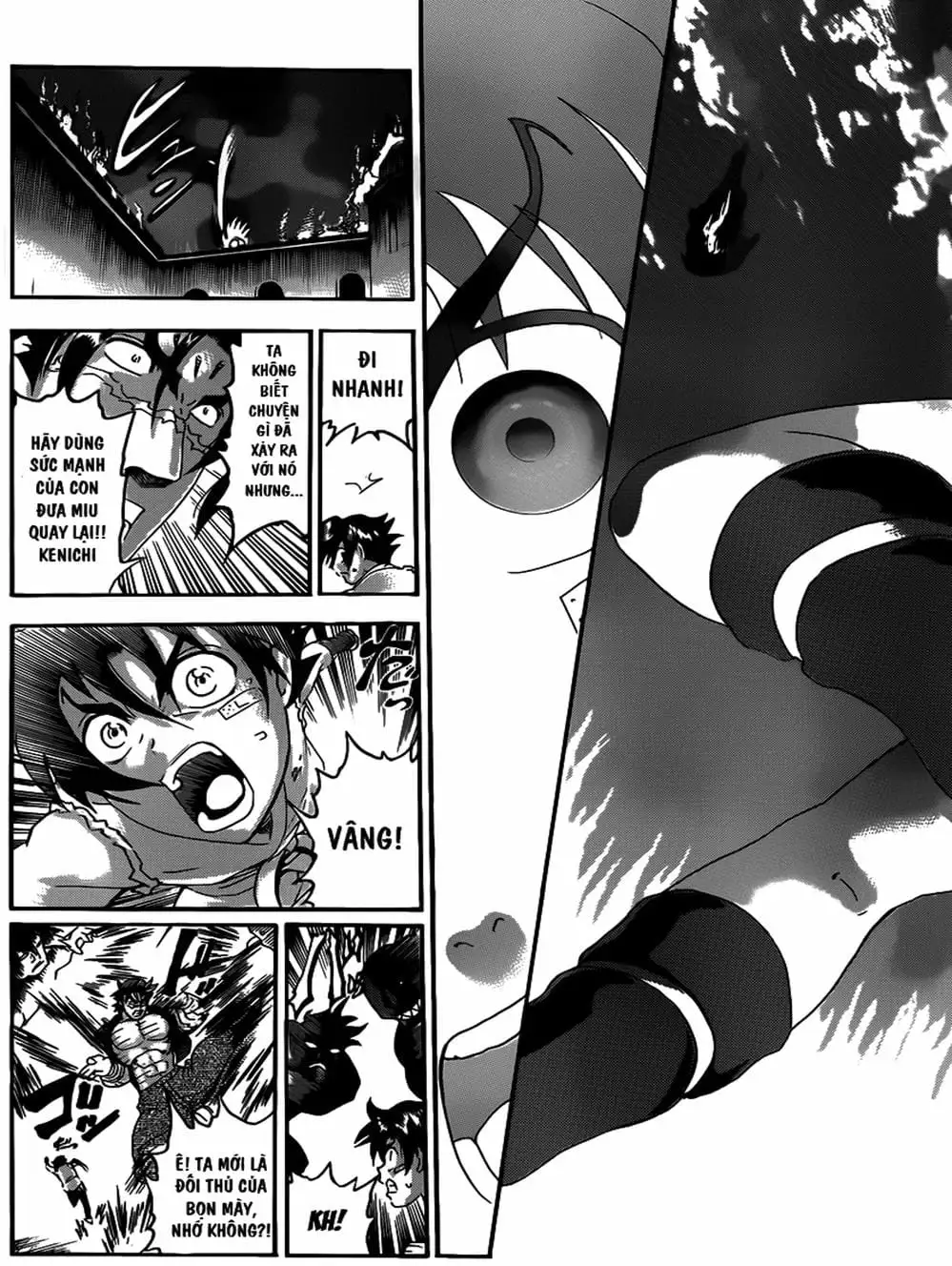Truyện Tranh Kenichi Võ Sĩ Mạnh Nhất - History’s Strongest Disciple Kenichi trang 5