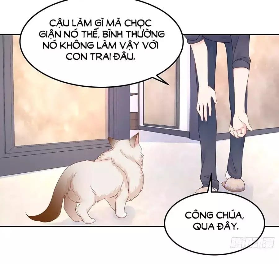 Truyện Tranh Nam Thần Quốc Dân Là Nữ - The National Hotboy Is A Girl trang 6
