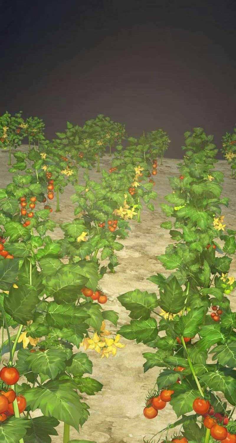 Truyện Tranh Làm Nông Dân Trong Tòa Tháp Thử Thách trang 5