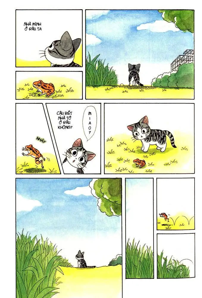 Truyện Tranh Mái Ấm Của Chi - Chii’s Sweet Home trang 3