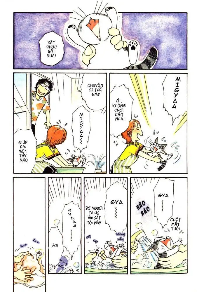 Truyện Tranh Mái Ấm Của Chi - Chii’s Sweet Home trang 3