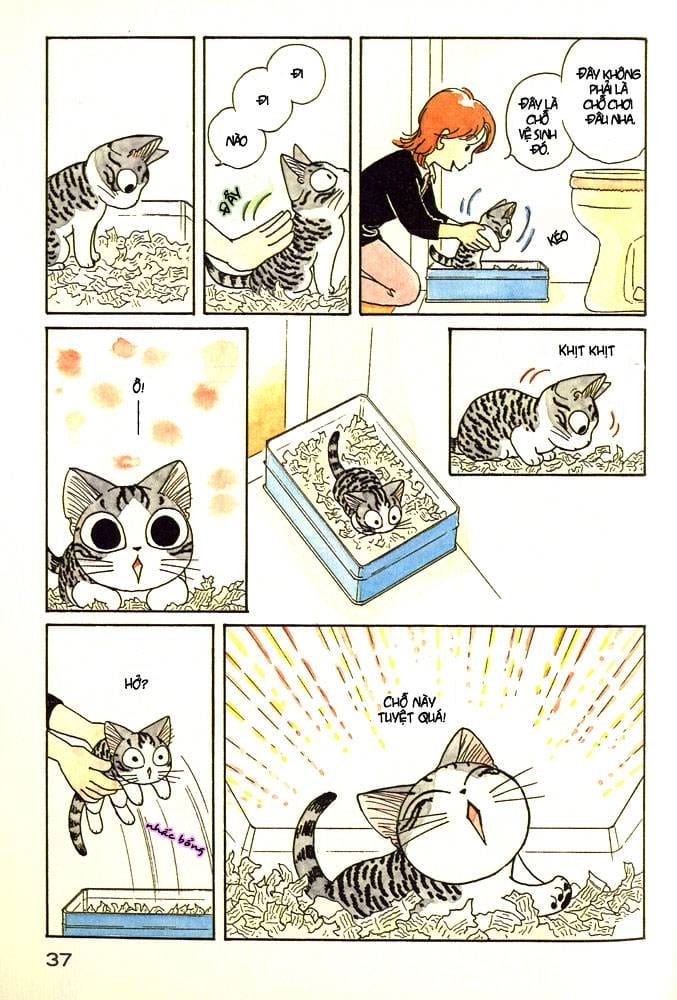 Truyện Tranh Mái Ấm Của Chi - Chii’s Sweet Home trang 3