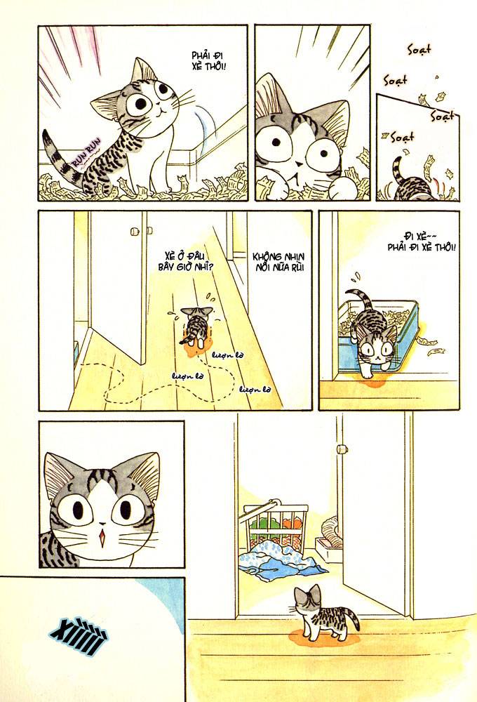 Truyện Tranh Mái Ấm Của Chi - Chii’s Sweet Home trang 3