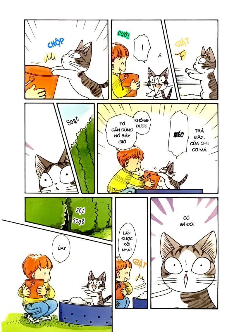 Truyện Tranh Mái Ấm Của Chi - Chii’s Sweet Home trang 3