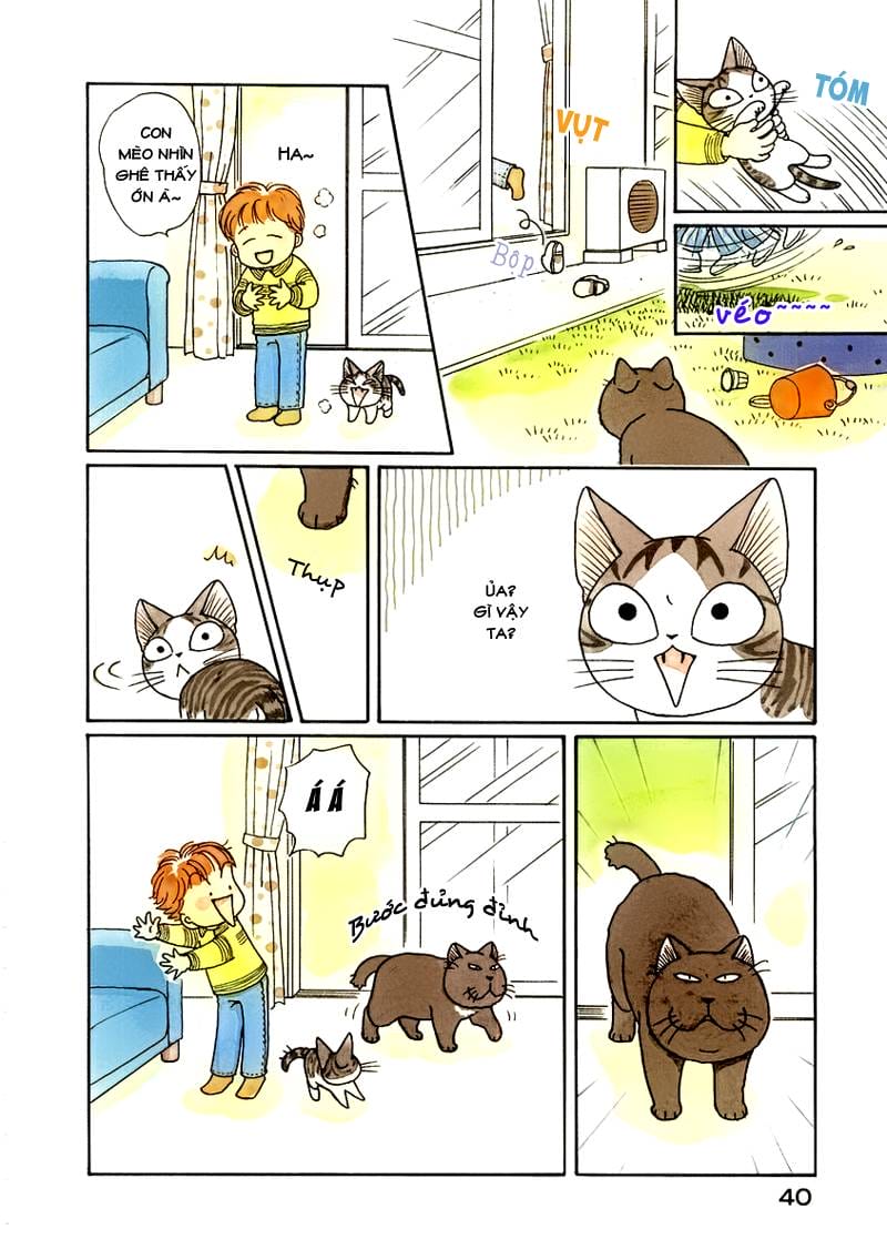 Truyện Tranh Mái Ấm Của Chi - Chii’s Sweet Home trang 3