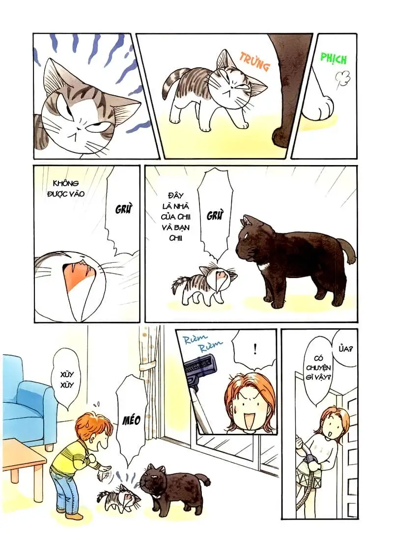 Truyện Tranh Mái Ấm Của Chi - Chii’s Sweet Home trang 3