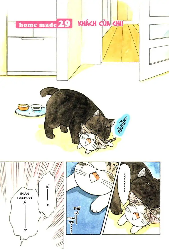Truyện Tranh Mái Ấm Của Chi - Chii’s Sweet Home trang 3
