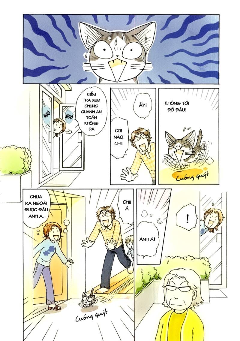 Truyện Tranh Mái Ấm Của Chi - Chii’s Sweet Home trang 3
