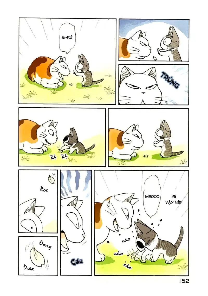 Truyện Tranh Mái Ấm Của Chi - Chii’s Sweet Home trang 3