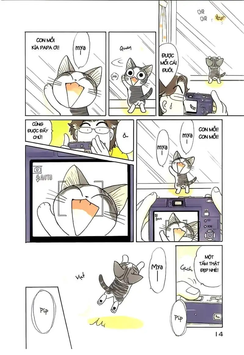 Truyện Tranh Mái Ấm Của Chi - Chii’s Sweet Home trang 3