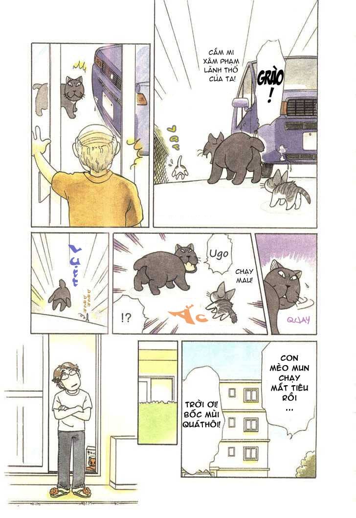 Truyện Tranh Mái Ấm Của Chi - Chii’s Sweet Home trang 3