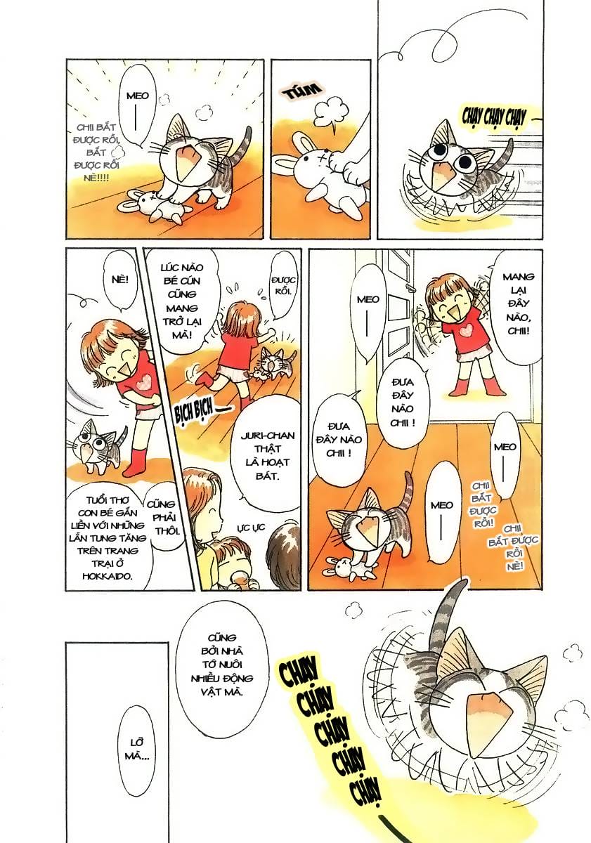 Truyện Tranh Mái Ấm Của Chi - Chii’s Sweet Home trang 3