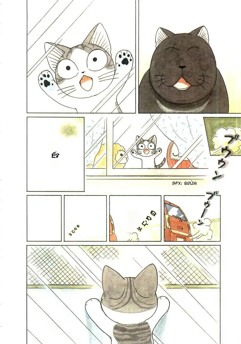 Truyện Tranh Mái Ấm Của Chi - Chii’s Sweet Home trang 3