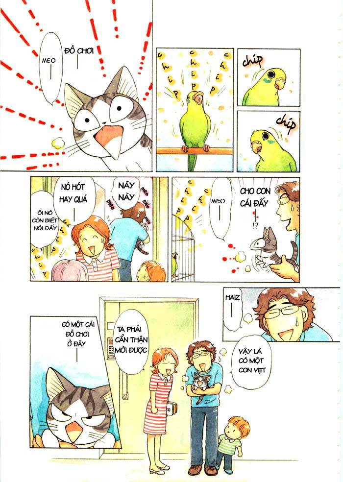 Truyện Tranh Mái Ấm Của Chi - Chii’s Sweet Home trang 3