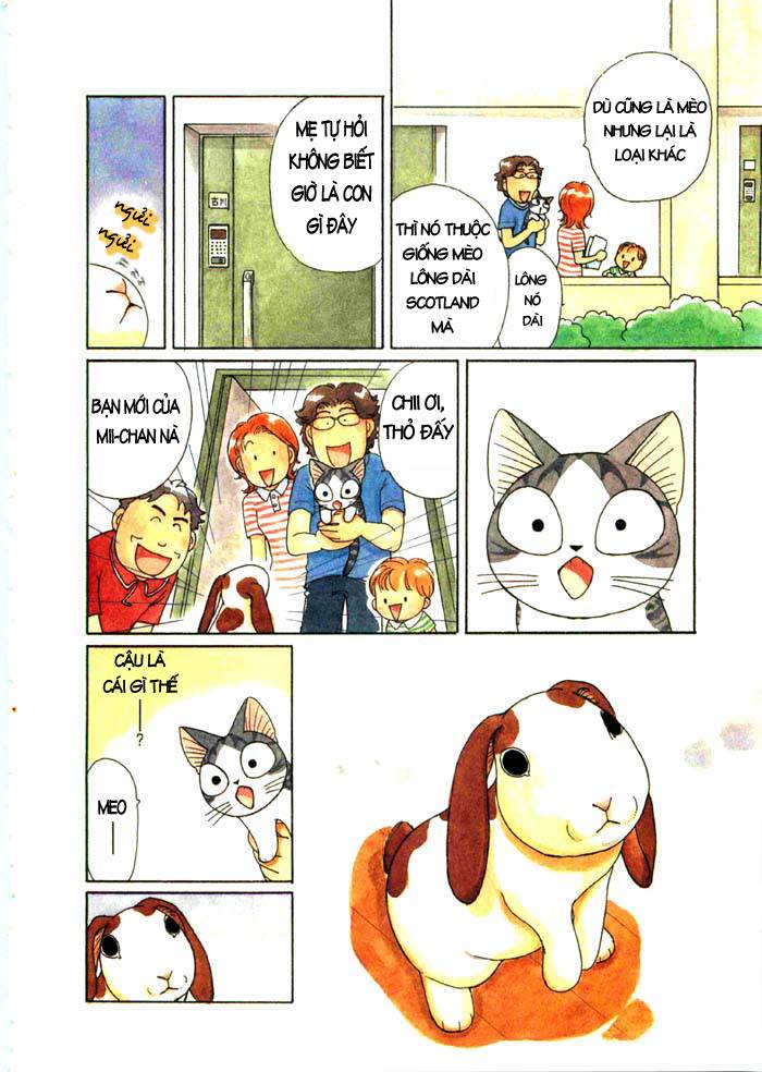 Truyện Tranh Mái Ấm Của Chi - Chii’s Sweet Home trang 3