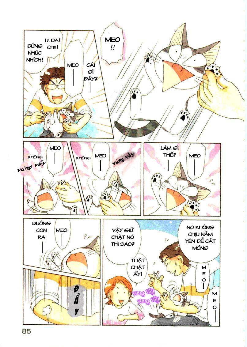 Truyện Tranh Mái Ấm Của Chi - Chii’s Sweet Home trang 3