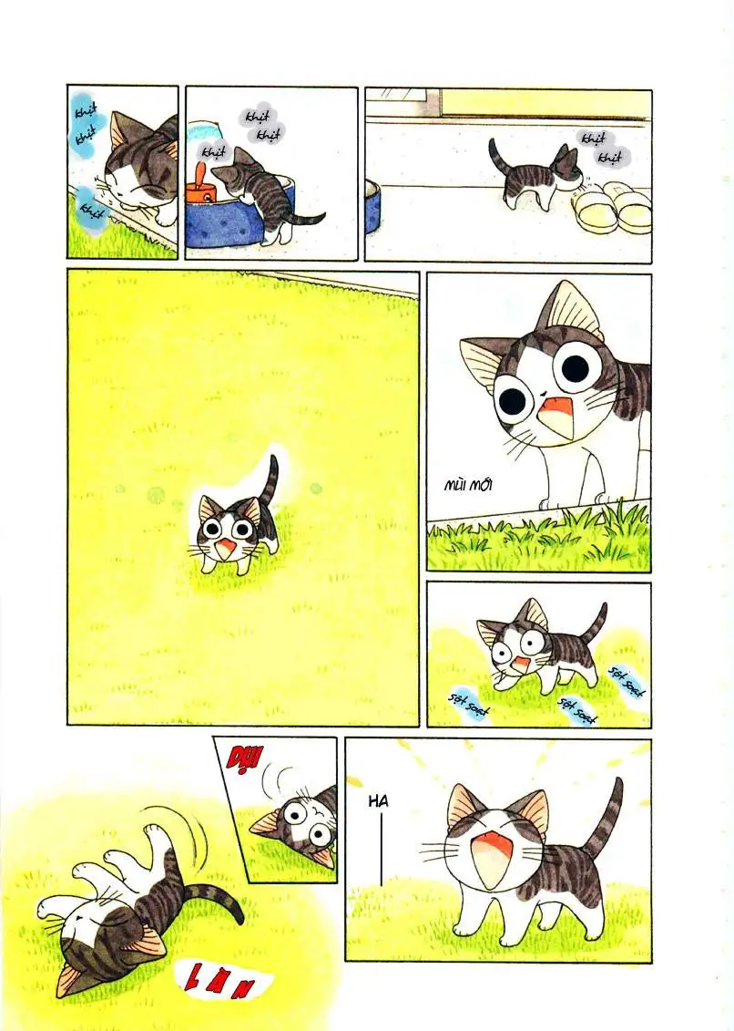 Truyện Tranh Mái Ấm Của Chi - Chii’s Sweet Home trang 3