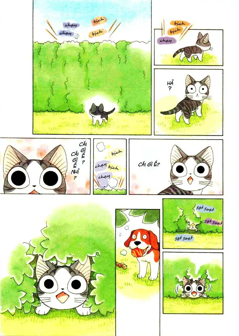 Truyện Tranh Mái Ấm Của Chi - Chii’s Sweet Home trang 3