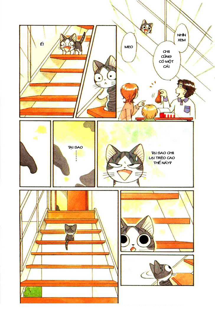 Truyện Tranh Mái Ấm Của Chi - Chii’s Sweet Home trang 3