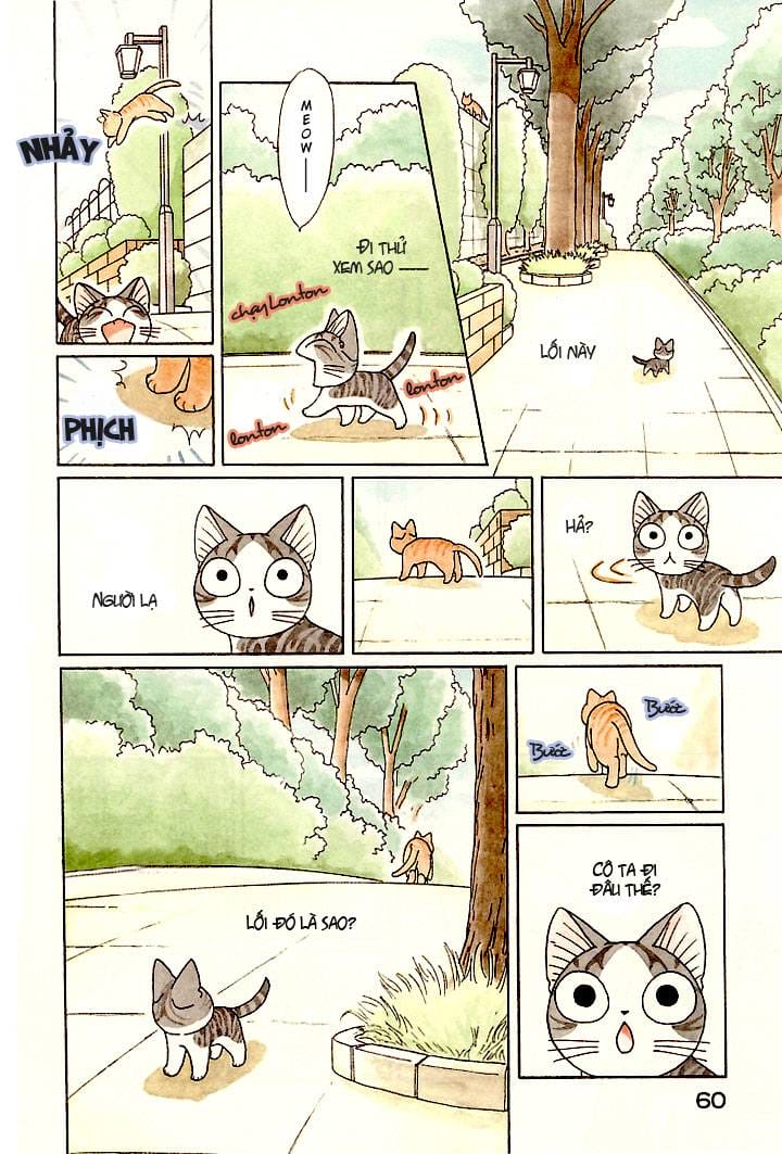 Truyện Tranh Mái Ấm Của Chi - Chii’s Sweet Home trang 3