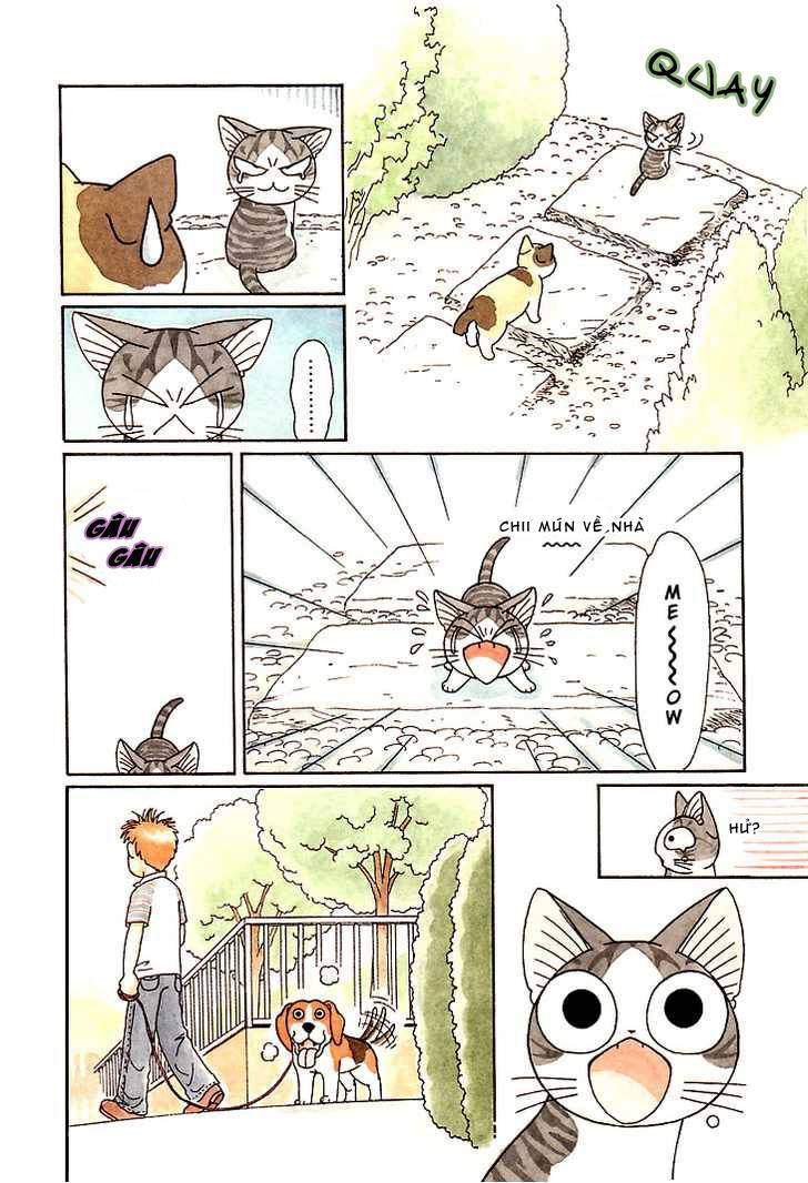 Truyện Tranh Mái Ấm Của Chi - Chii’s Sweet Home trang 3