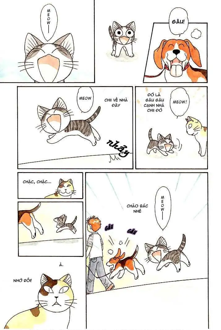 Truyện Tranh Mái Ấm Của Chi - Chii’s Sweet Home trang 3