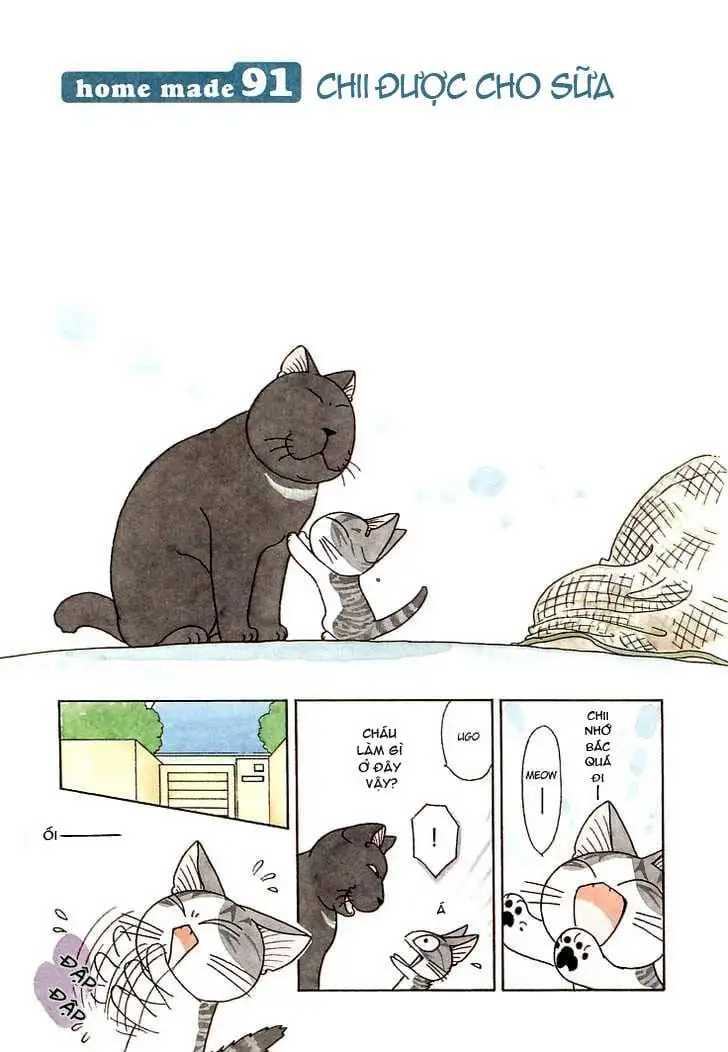 Truyện Tranh Mái Ấm Của Chi - Chii’s Sweet Home trang 3