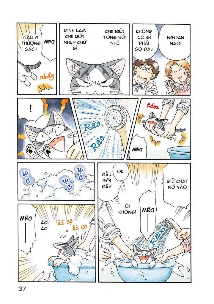 Truyện Tranh Mái Ấm Của Chi - Chii’s Sweet Home trang 3