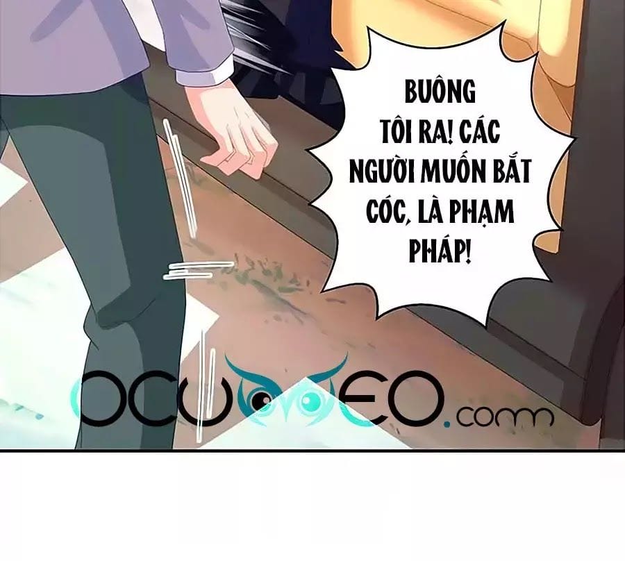 Truyện Tranh Một Thai Hai Bảo: Đưa Mami Về Nhà! trang 4