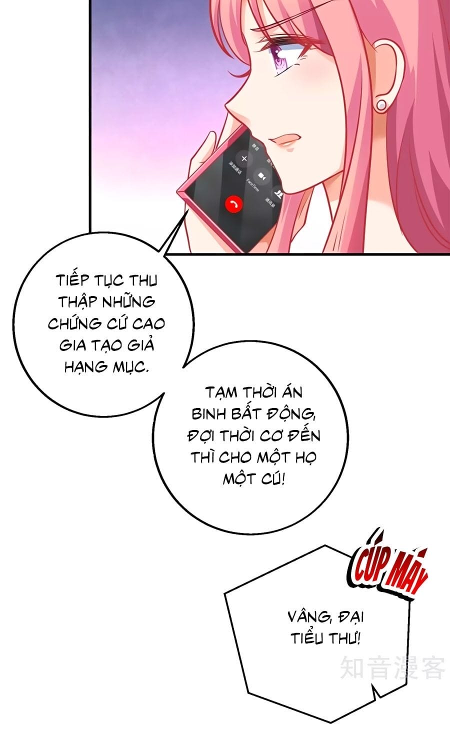 Truyện Tranh Một Thai Hai Bảo: Đưa Mami Về Nhà! trang 4