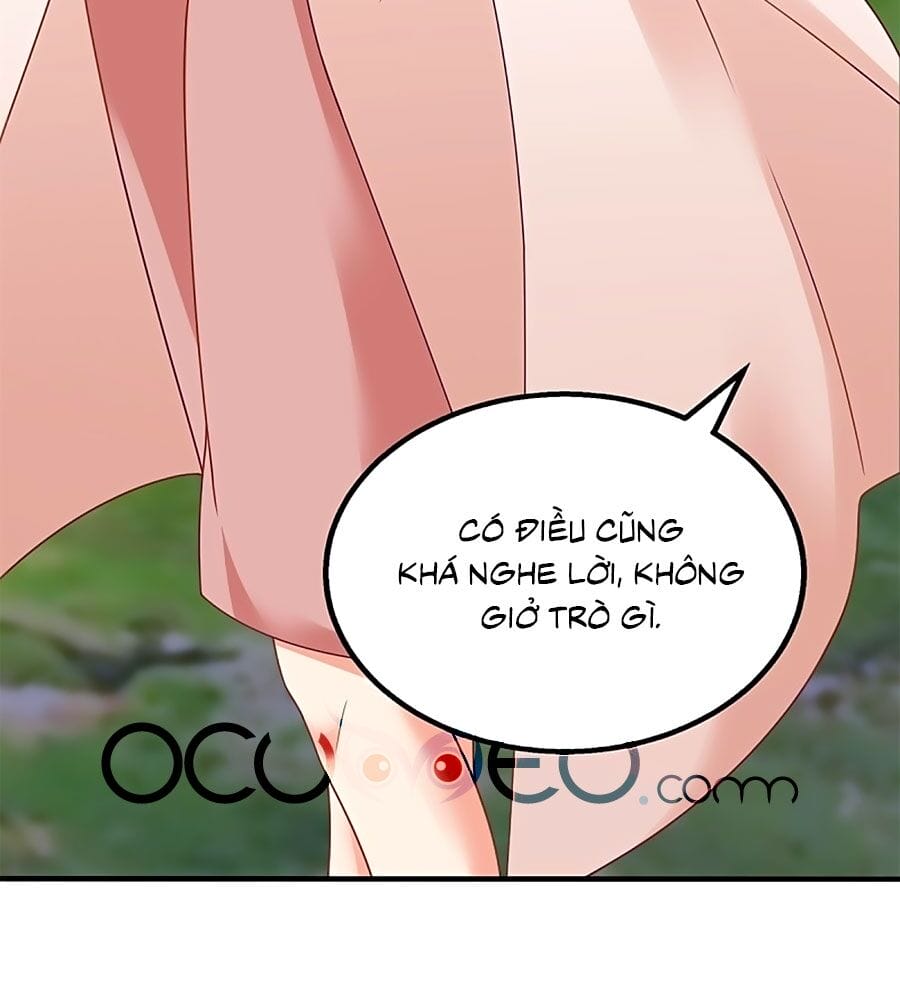 Truyện Tranh Một Thai Hai Bảo: Đưa Mami Về Nhà! trang 4