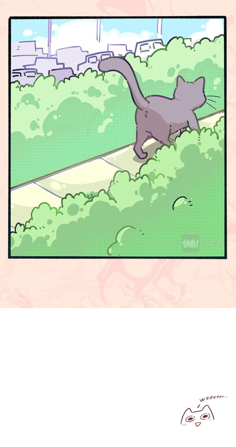 Truyện Tranh Ngũ Miêu trang 4