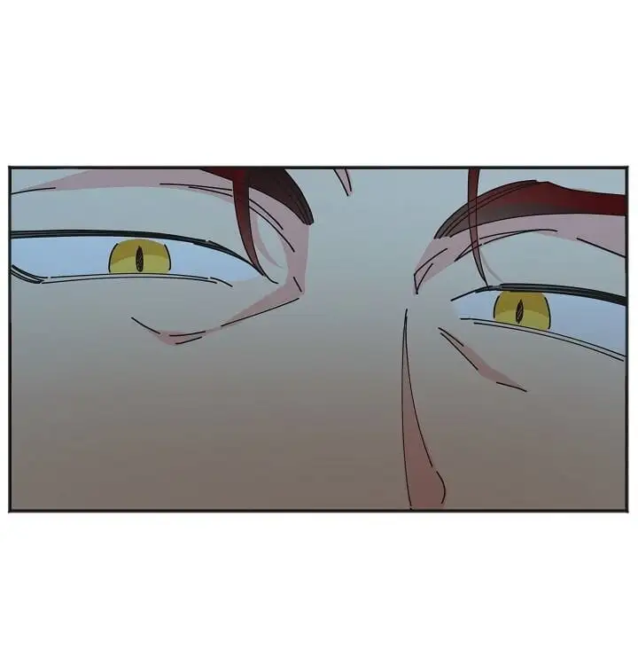 Truyện Tranh Người Hùng Của Ác Nữ - The Devil Lady’s Hero trang 6