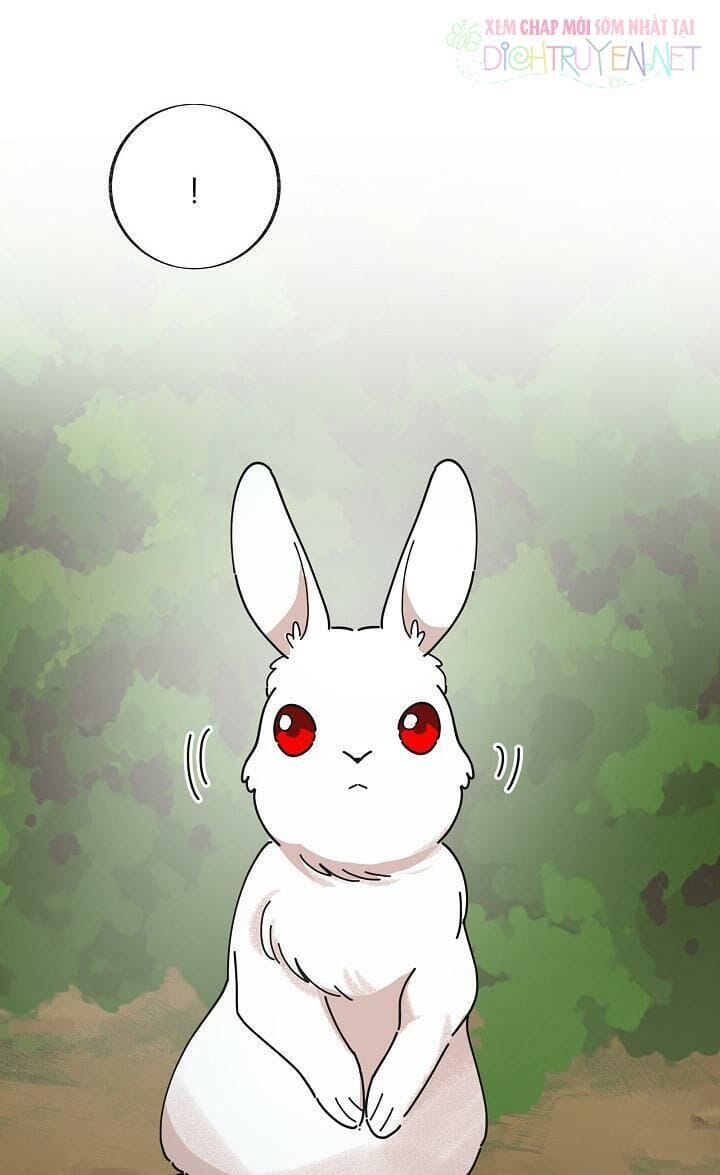 Truyện Tranh Người Hùng Của Ác Nữ - The Devil Lady’s Hero trang 6