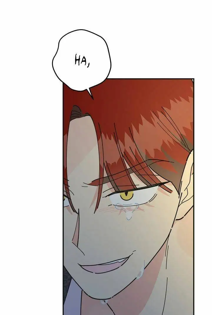 Truyện Tranh Người Hùng Của Ác Nữ - The Devil Lady’s Hero trang 6