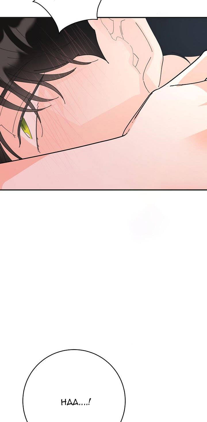 Truyện Tranh Người Hùng Của Ác Nữ - The Devil Lady’s Hero trang 6