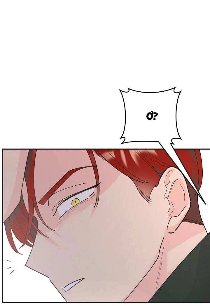 Truyện Tranh Người Hùng Của Ác Nữ - The Devil Lady’s Hero trang 6