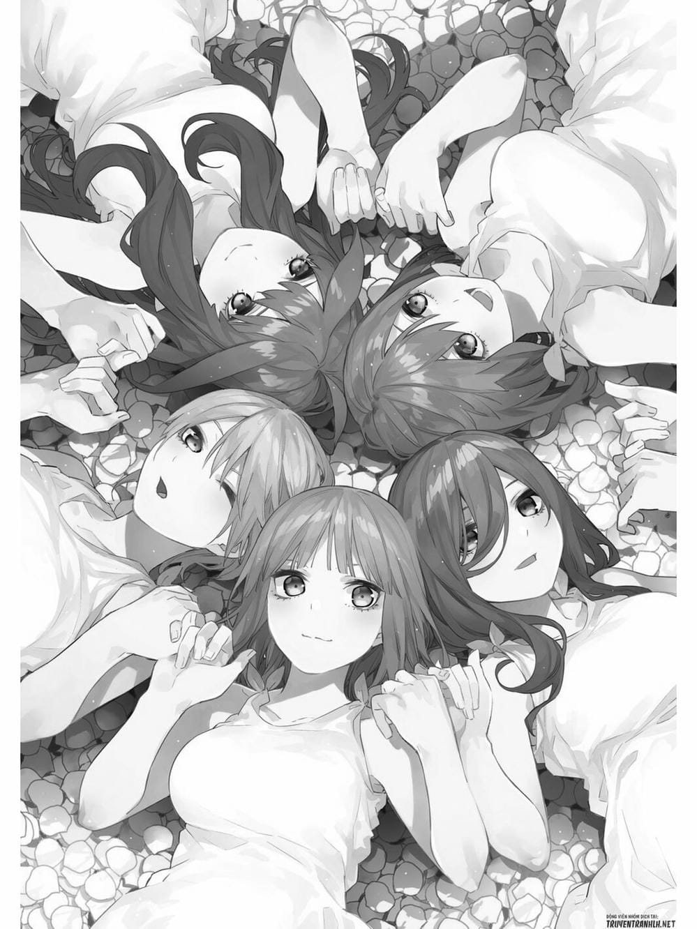 Truyện Tranh Nhà Có 5 Nàng Dâu - Gotoubun No Hanayome trang 6