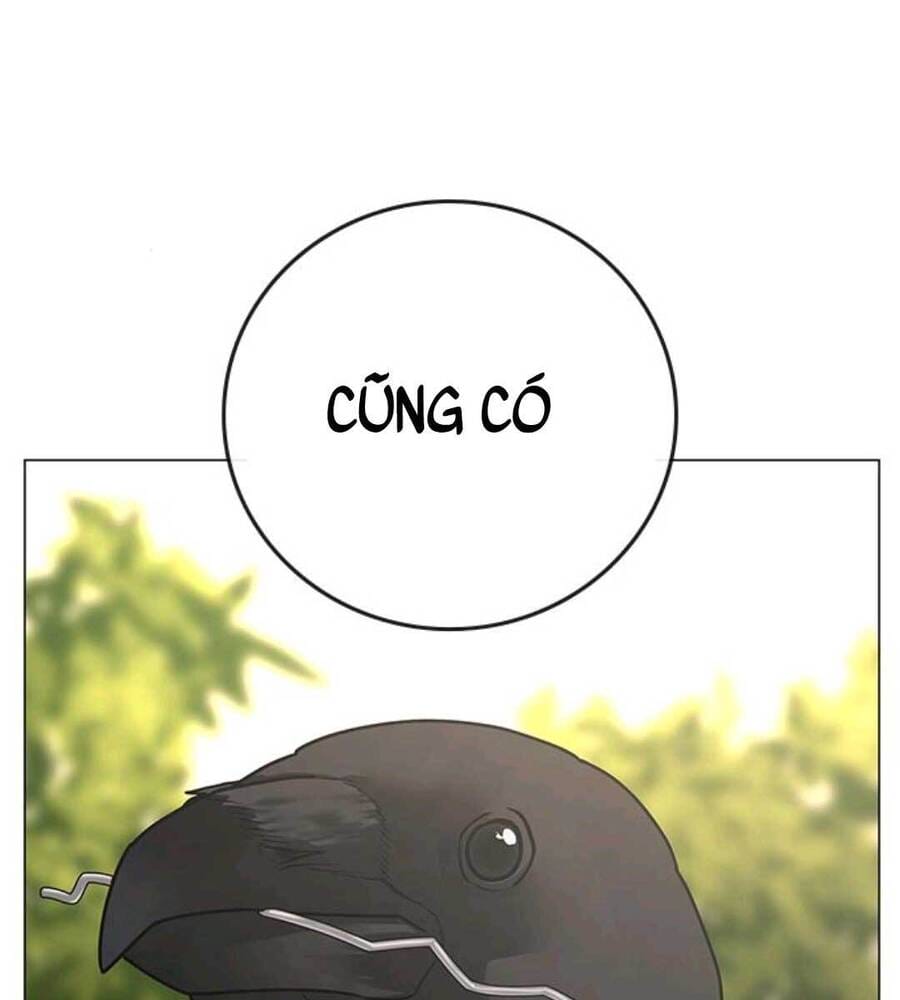 Truyện Tranh Nhiệm Vụ Đời Thật trang 5