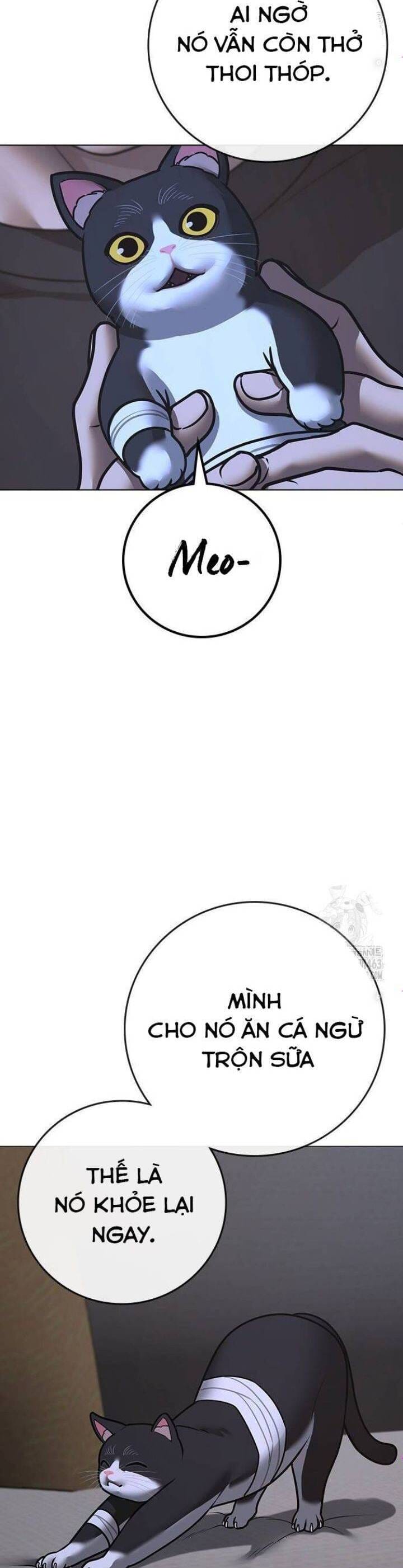 Truyện Tranh Nhiệm Vụ Đời Thật trang 5