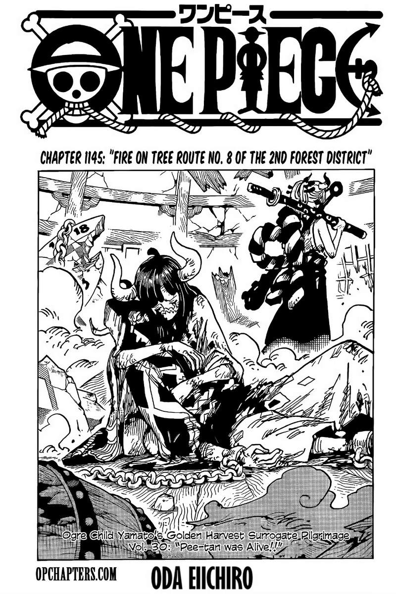 Truyện Tranh Đảo Hải Tặc - One Piece trang 21242