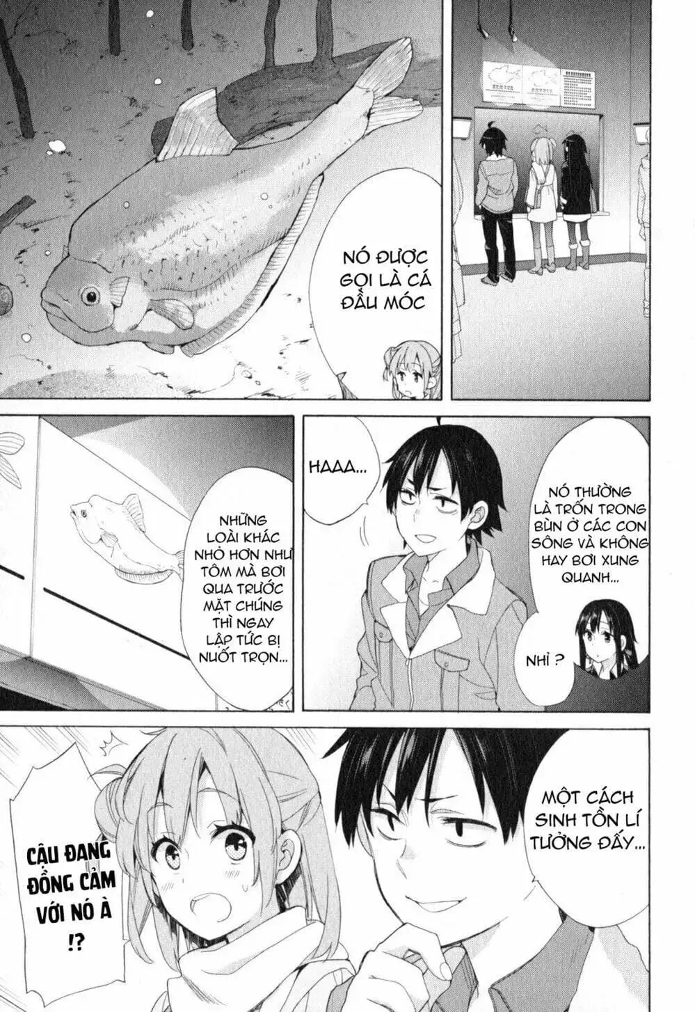Truyện Tranh Chuyện Tình Thanh Xuân Bi Hài Của Tôi Quả Nhiên Là Sai Lầm - Oregairu trang 6
